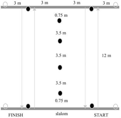 Laboratory and Non-laboratory Assessment of Anaerobic Performance of Elite Male Wheelchair Basketball Athletes